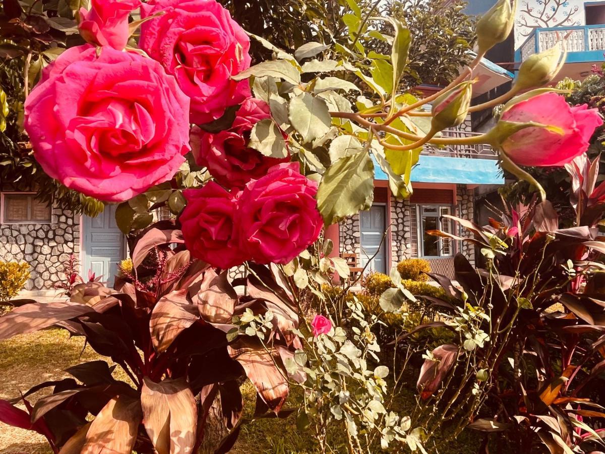 Paradise Mount Resort Pokhara Ngoại thất bức ảnh